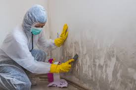 Best Water Damage & Mold Remediation  in Forestdale, MA